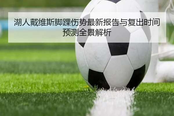 湖人戴维斯脚踝伤势最新报告与复出时间预测全景解析